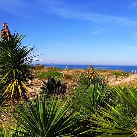 Llanos Camping 3*